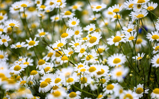 1754882 (a): :1920x1200